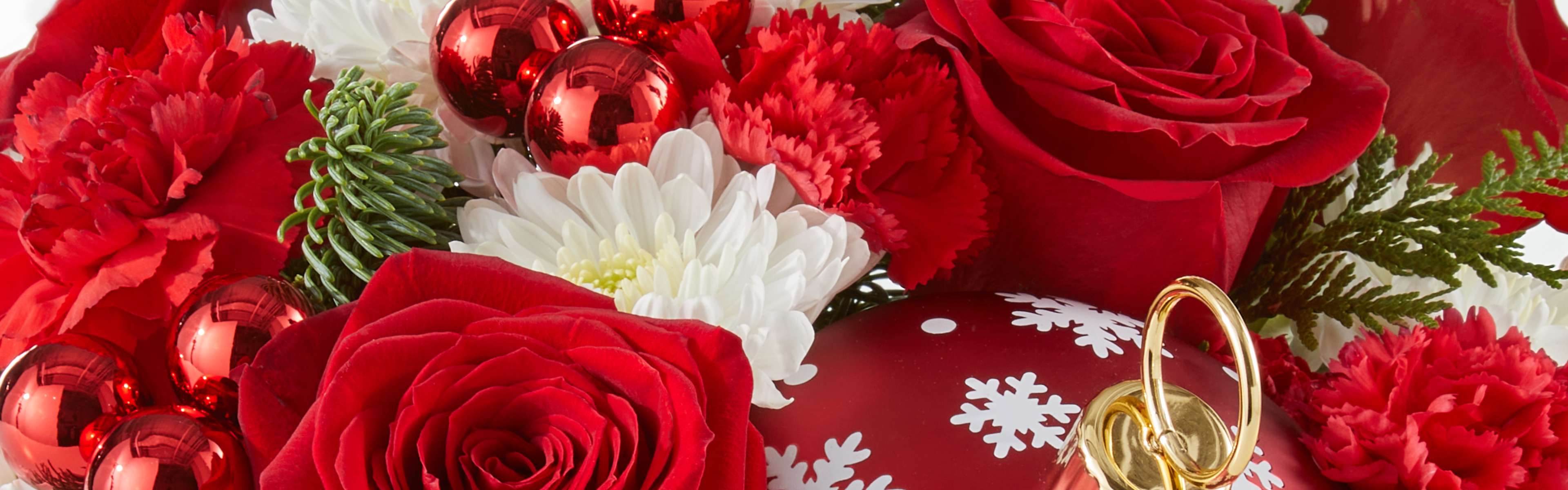 Christmas Flowers