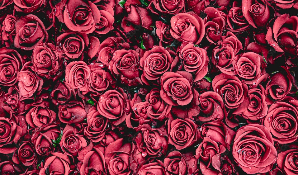 Luxe Roses