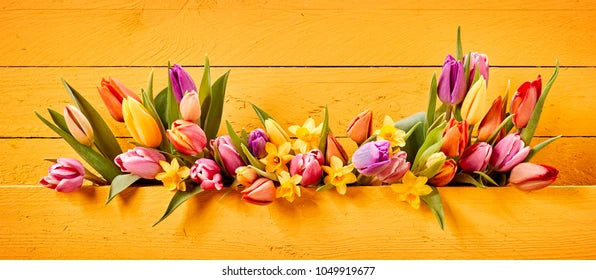 TFF Easter