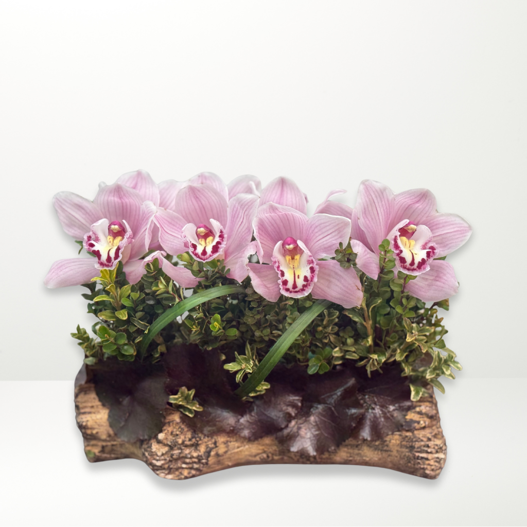 Orchid Elegance Bouquet