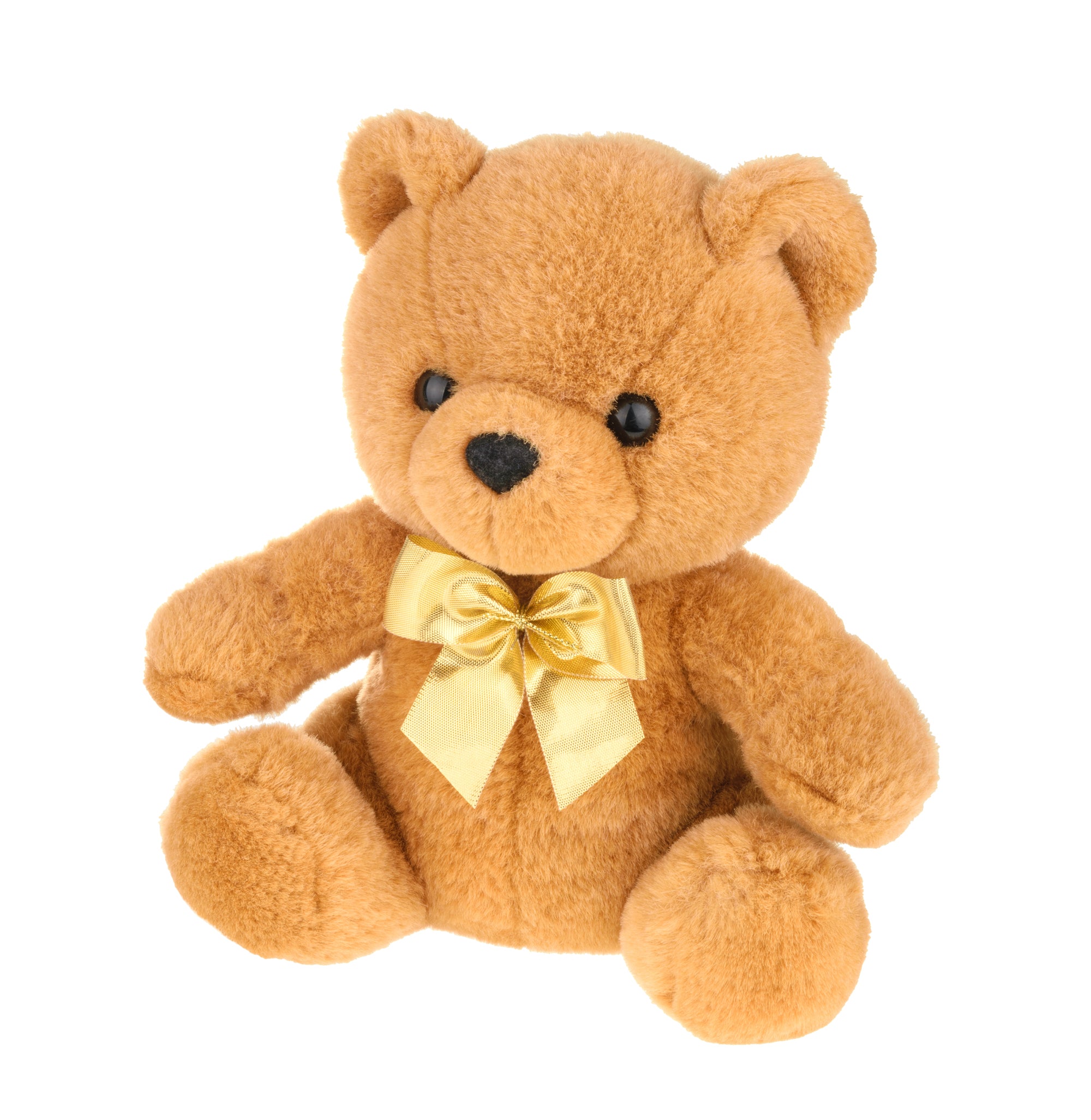 Adorable Plush Bear